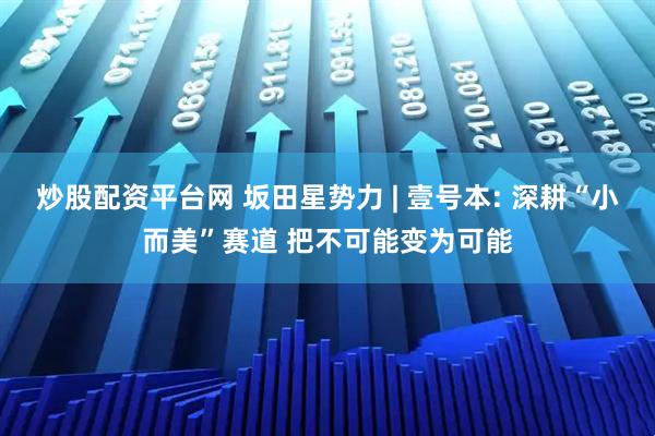 炒股配资平台网 坂田星势力 | 壹号本: 深耕“小而美”赛道 把不可能变为可能
