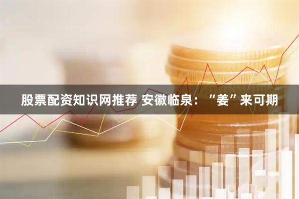 股票配资知识网推荐 安徽临泉：“姜”来可期